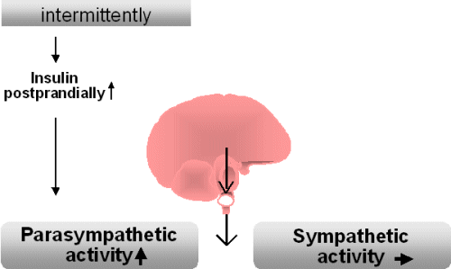 Acute caloric intake and parasympathetic activity