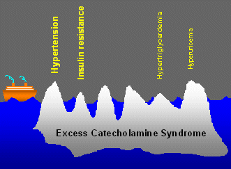 Metabolic syndrome